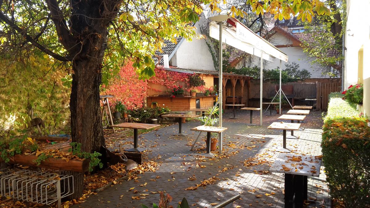 Zahrádka restaurace U Přístavu pod starým kaštanem, podzimní listí a réva na zdi
